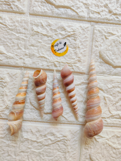 Sea Shell - A5