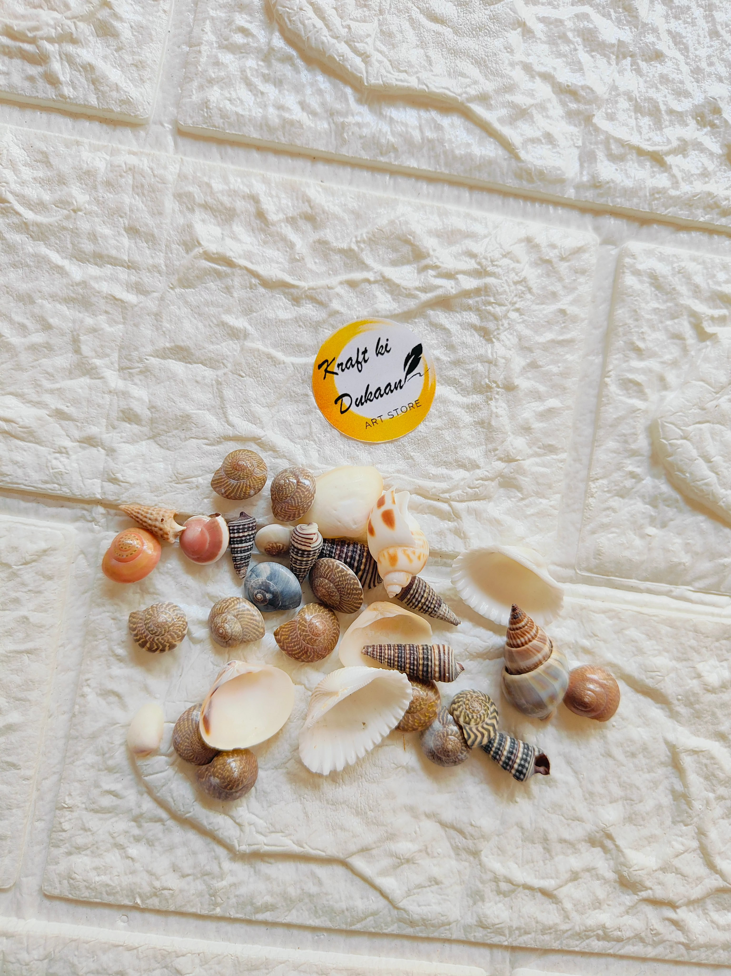 Sea Shell Mix - A6