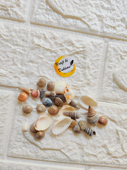 Sea Shell Mix - A6